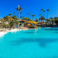 Najcieplejsza wyspa kanaryjska w grudniu – Fuerteventura czy inne?