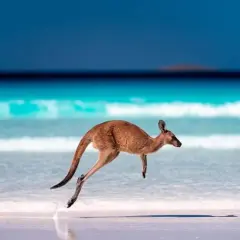 Ile trwa lot z Warszawy do Australii? Sprawdź, zanim zarezerwujesz!