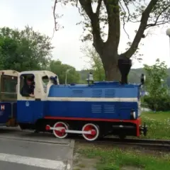 Jak dojechać z Dworca PKP do Nowego Zoo w Poznaniu bez problemów