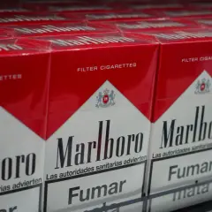 Rzędy paczek papierosów Marlboro. Zastanawiasz się, ile kosztują papierosy w Szwajcarii?