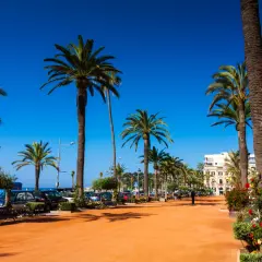 Promenada w lloret de mar centrum z palmami, kawiarniami i widokiem na morze.