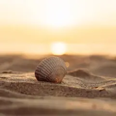 Co robić, gdy plaża się znudzi? Pomysły na chwile relaksu podczas wakacji