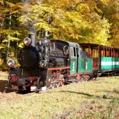 Jak dojechać do Rewala pociągiem? Sprawdź najłatwiejsze trasy