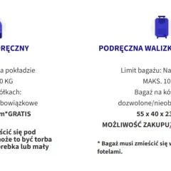 Wizzair wymiary bagażu: podręczny plecak 40x30x20 cm, walizka na kółkach 55x40x23 cm (z Wizz Priority).