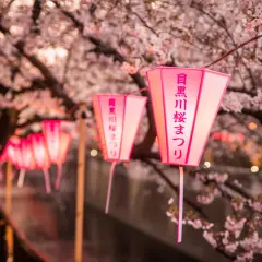 Czy w Japonii jest bezpiecznie? Prawda o bezpieczeństwie w kraju kwitnącej wiśni