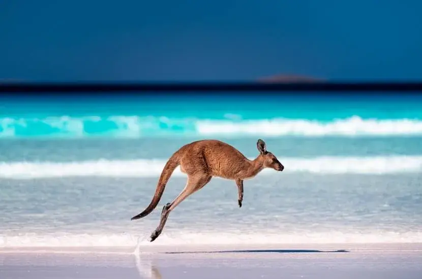 Ile trwa lot z Warszawy do Australii? Sprawdź, zanim zarezerwujesz!