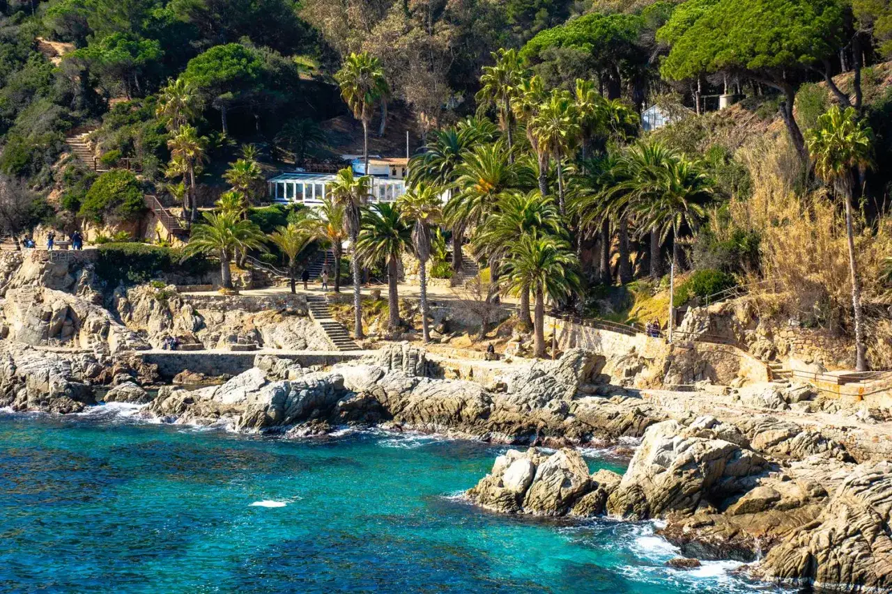 Skaliste wybrzeże z palmami i turkusową wodą, widok na Lloret de Mar centrum.