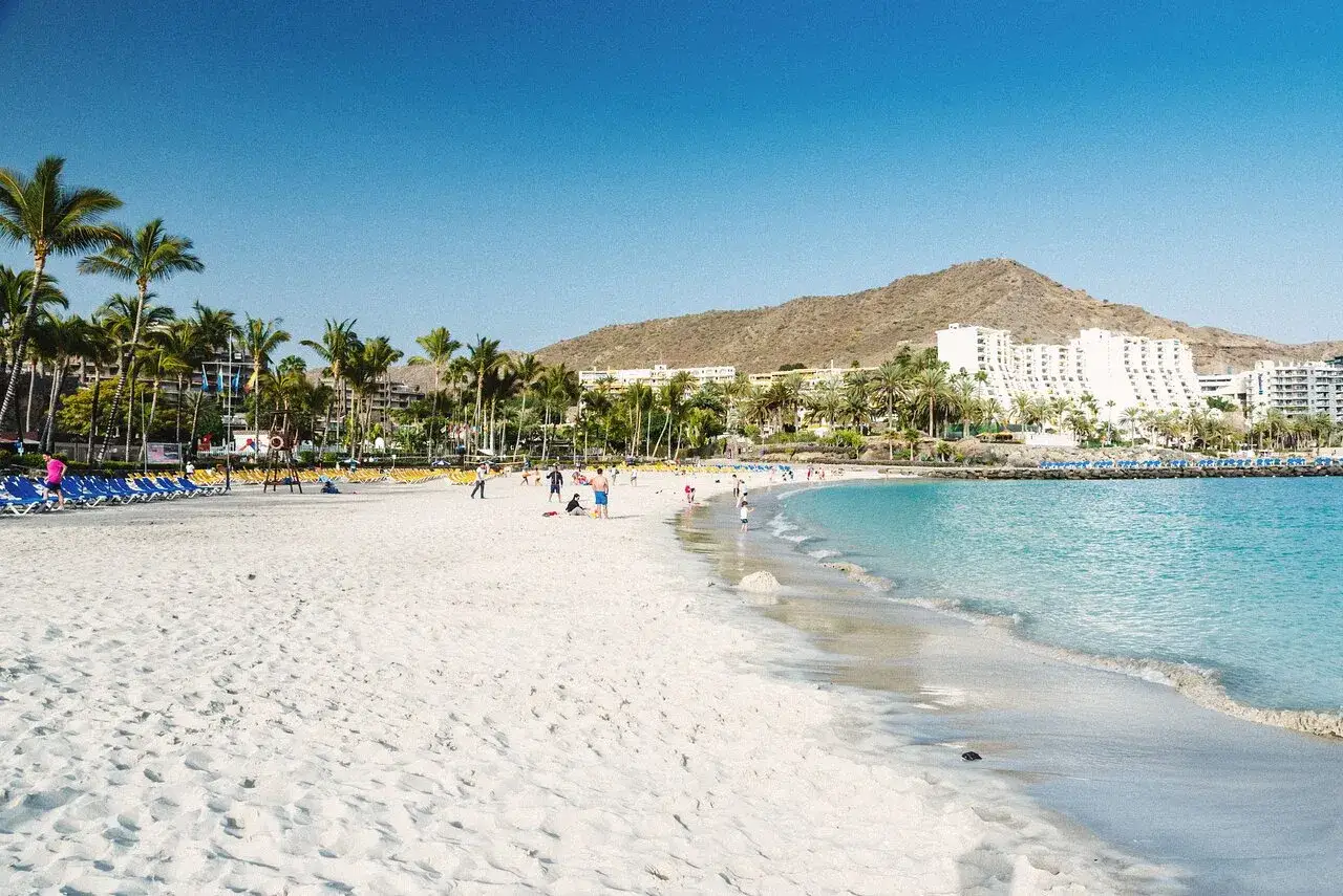 Gran Canaria w lutym: słoneczna plaża z palmami, turkusową wodą i hotelami w tle. Idealna pogoda na wypoczynek.