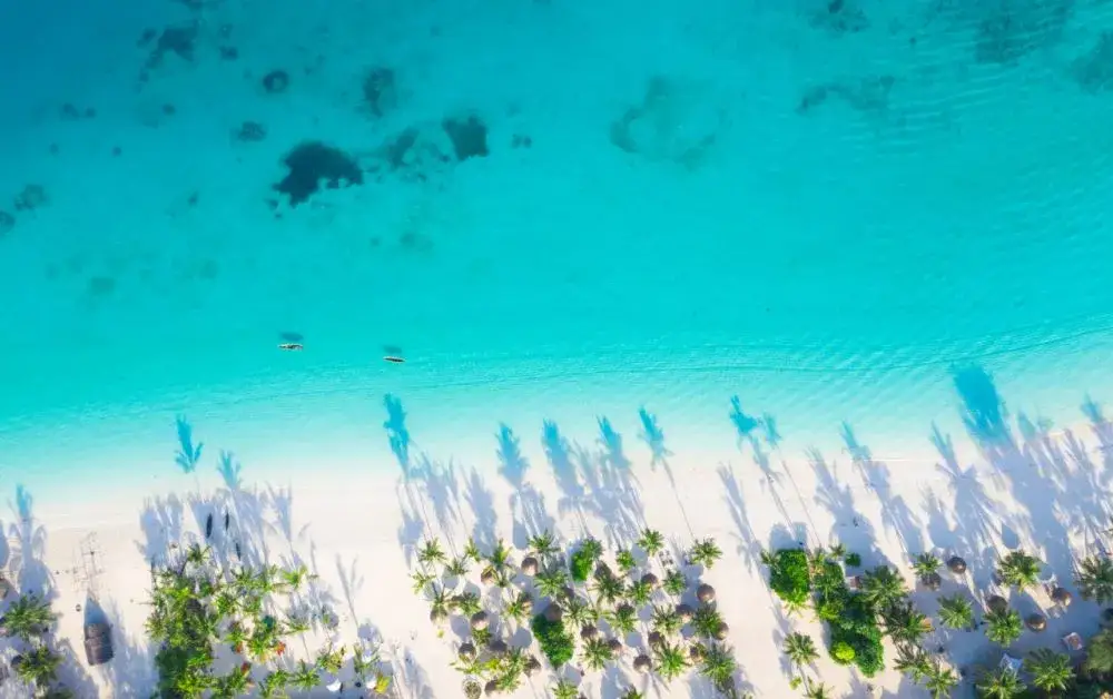 Zdjęcie Ile trwa lot z Polski do Zanzibaru? Czas lotu, który zaskoczy każdego