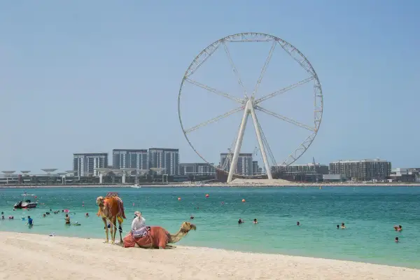 Plaża w Dubaju, gdzie wielkie koło widokowe góruje nad turkusową wodą, a na piasku odpoczywa wielbłąd. Czy Dubaj to państwo? To miasto-państwo.