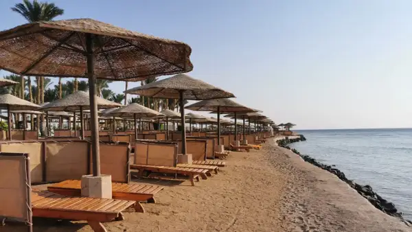 Plaża w Egipcie z rzędami leżaków i parasoli. Zastanawiasz się, ile kosztuje wiza do Egiptu, by móc tu wypocząć?