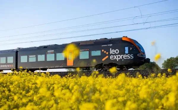 Czarny pociąg express Leo Express mija pole kwitnącego rzepaku.